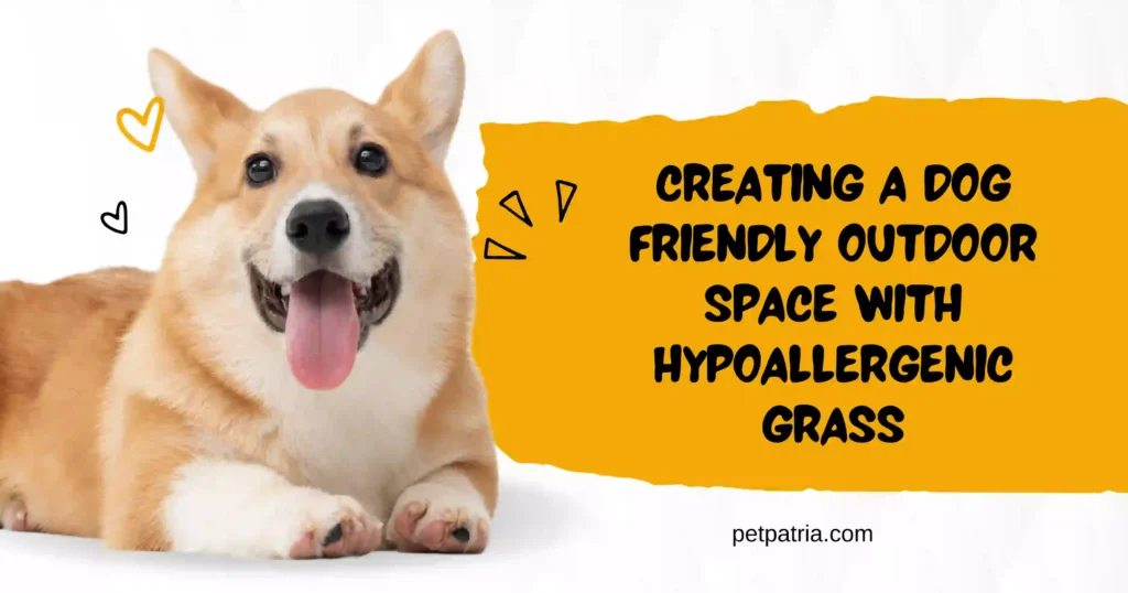 Hypoallergenic Grass For Dogs