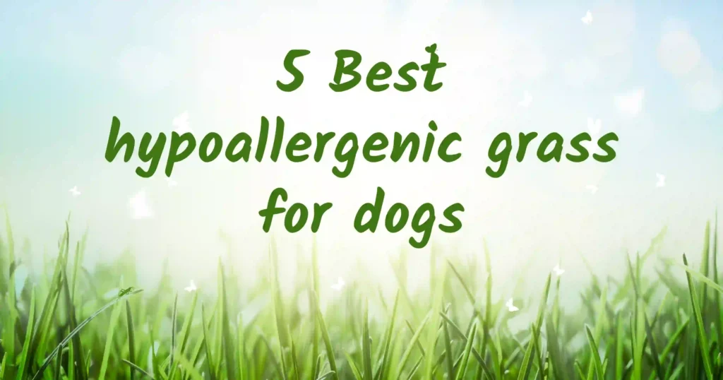 hypoallergenic grass for dogs 