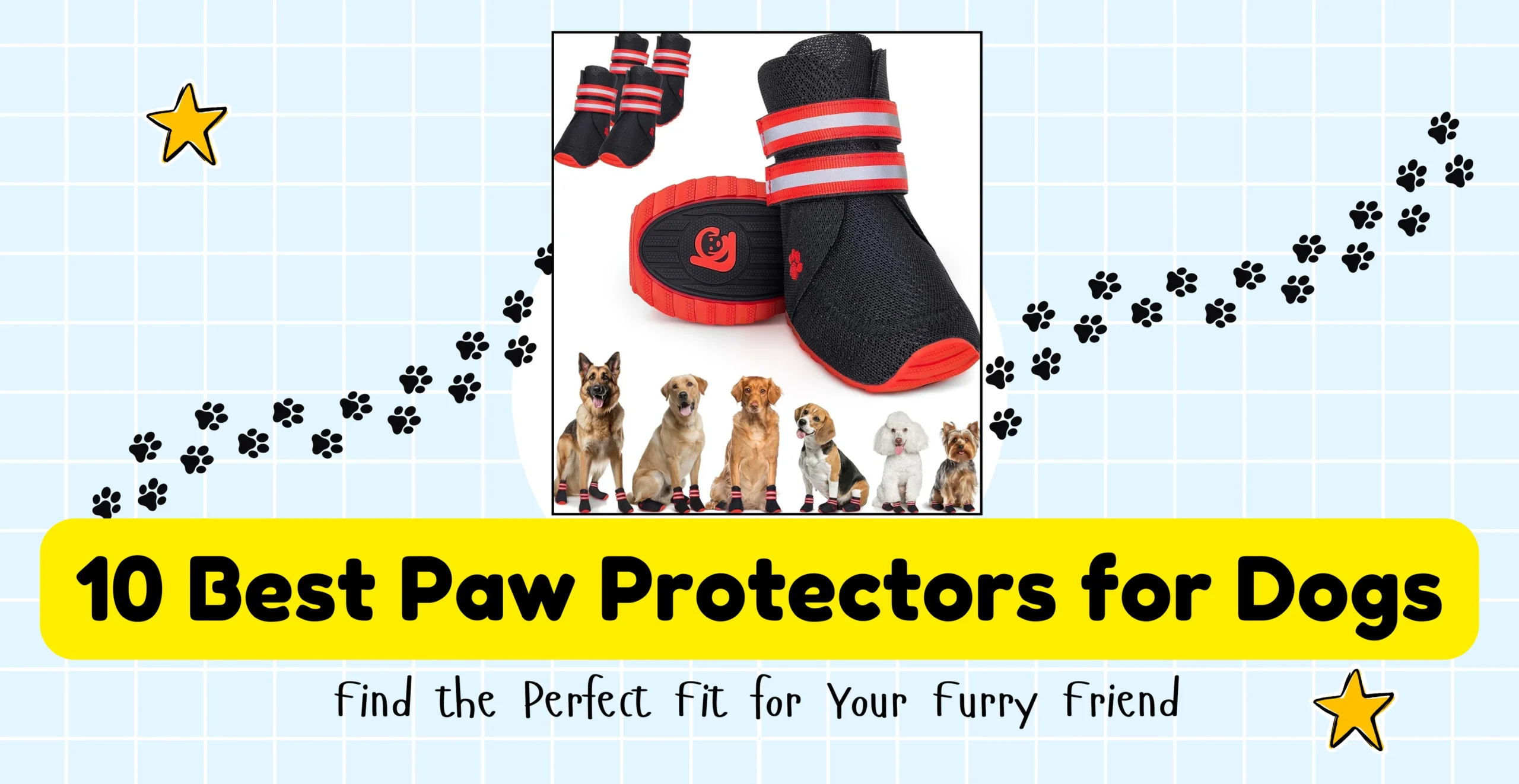 10 Best Paw Protectors for Dogs